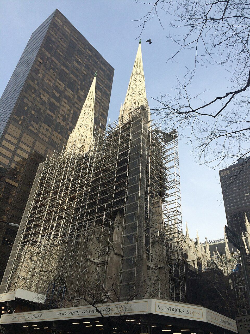 St Patrick's Cathedral 3