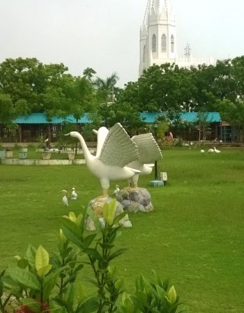 Basilica of Our Lady of Lourdes, Poondi 4