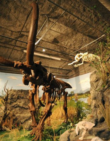 Creation Museum, Kentucky 4