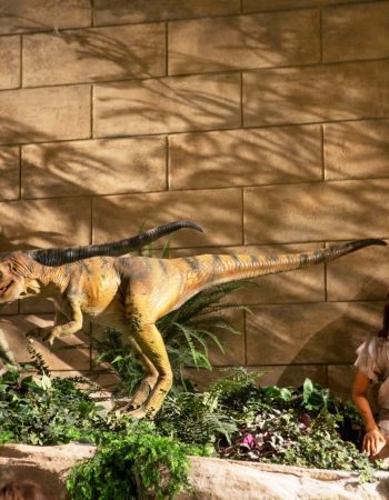 Creation Museum, Kentucky 7